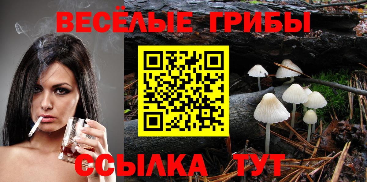Псилоцибиновые грибы Magic Shrooms  Вход с VPN  дарнет шоп  Псилоцибиновые грибы ЛСД  Стрежевой 